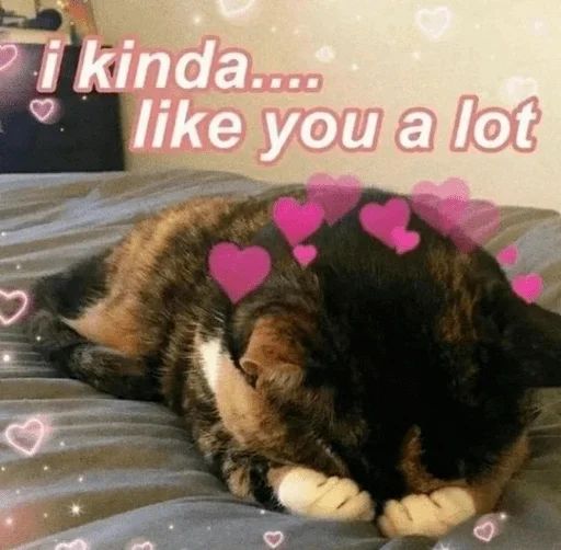 Sticker “Cute cats-6”