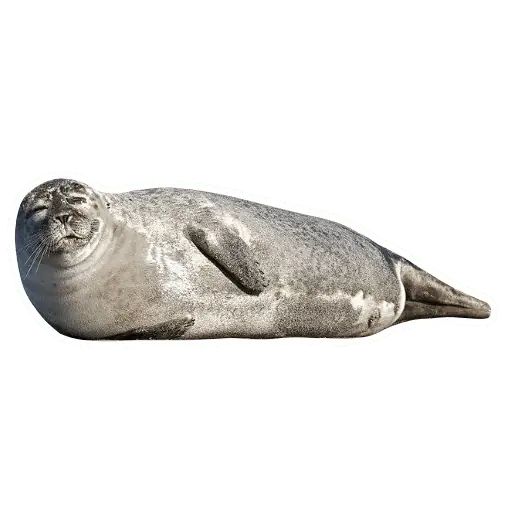 Sticker “Lazy Seals-1”