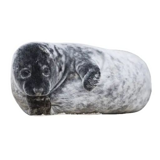 Sticker “Lazy Seals-10”