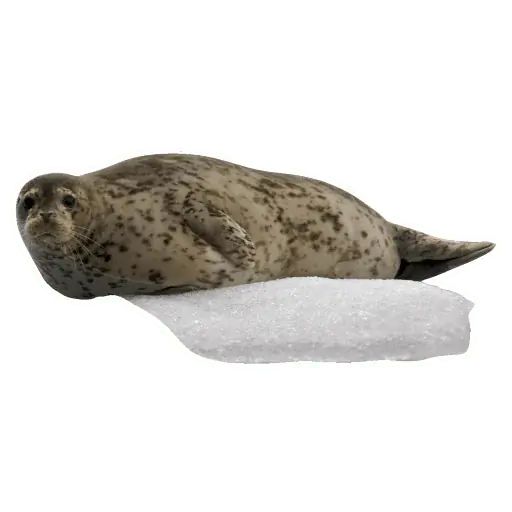 Sticker “Lazy Seals-3”