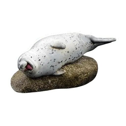 Sticker “Lazy Seals-4”