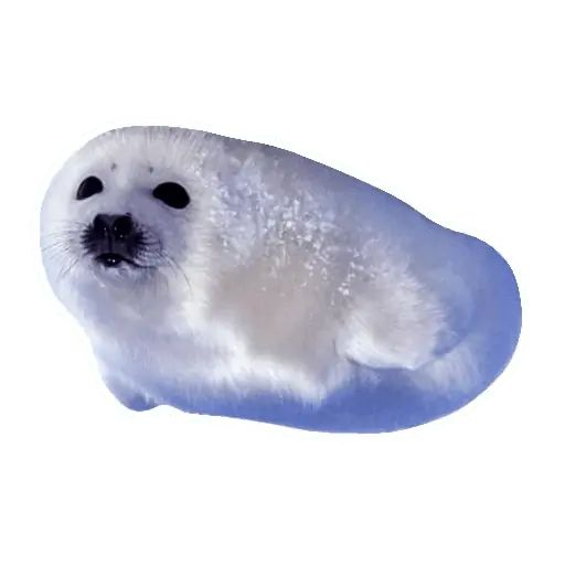 Sticker “Lazy Seals-8”