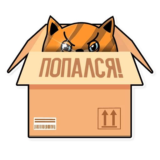 Sticker “Fury Cat-5”