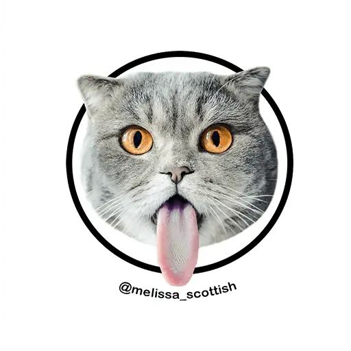 Sticker “Melissa-1”