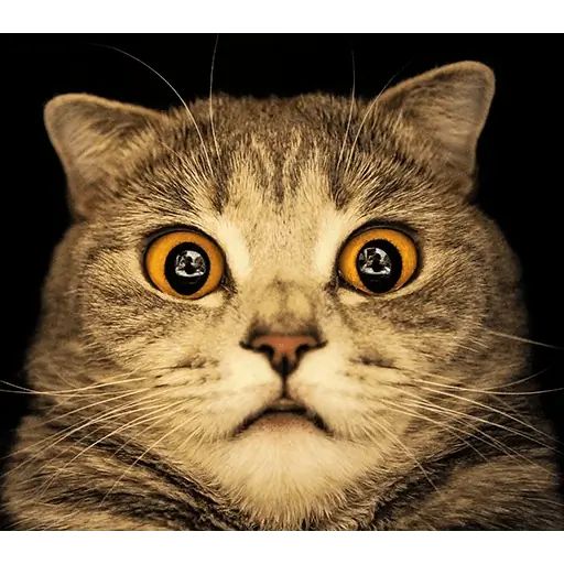 Sticker “Melissa-11”