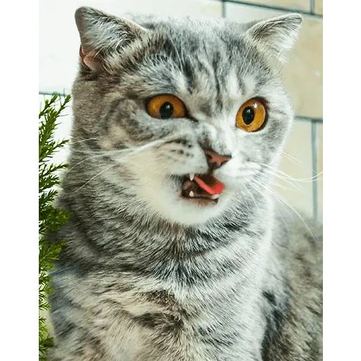 Sticker “Melissa-12”