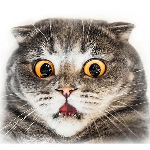 Sticker “Melissa-3”