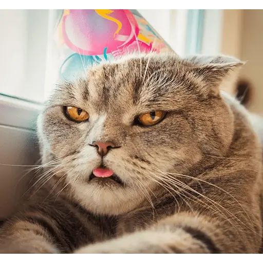 Sticker “Melissa-5”