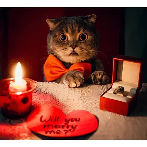 Sticker “Melissa-7”