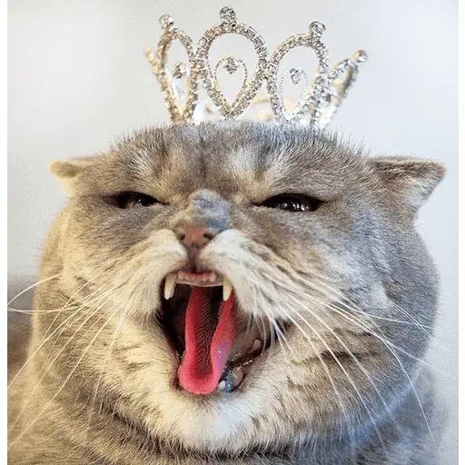 Sticker “Melissa-8”