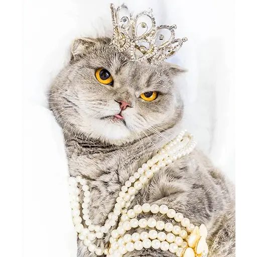 Sticker “Melissa-9”