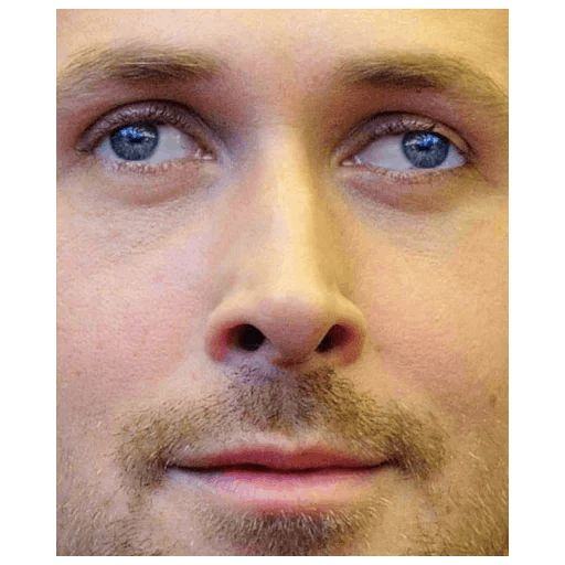 Sticker “Gosling-11”