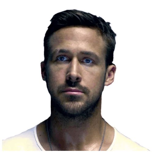 Sticker “Gosling-8”