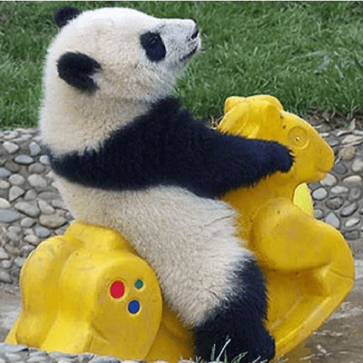 Sticker “Lazy Panda-11”