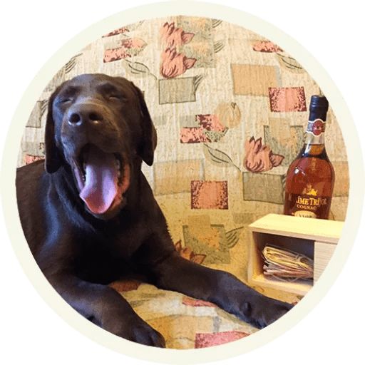 Sticker “Labrador-10”