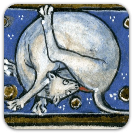 Sticker “Medieval Cats-12”