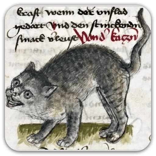 Sticker “Medieval Cats-4”