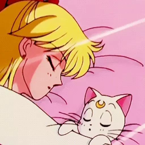 Sticker “Sailor Moon-11”