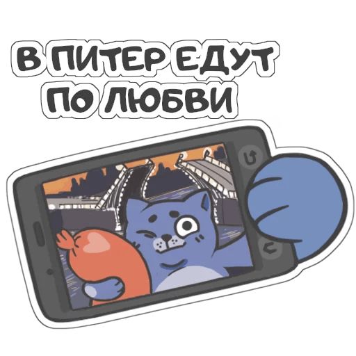 Sticker “Fly The Cat-8”