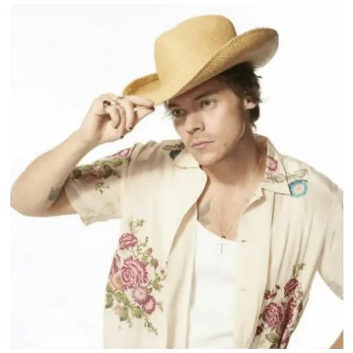 Sticker “Harry Styles-12”