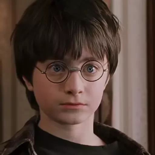 Sticker “Garry Potter-12”