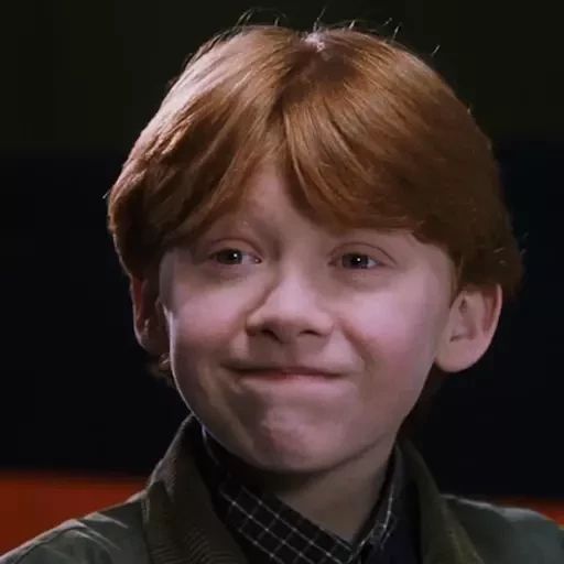 Sticker “Garry Potter-2”