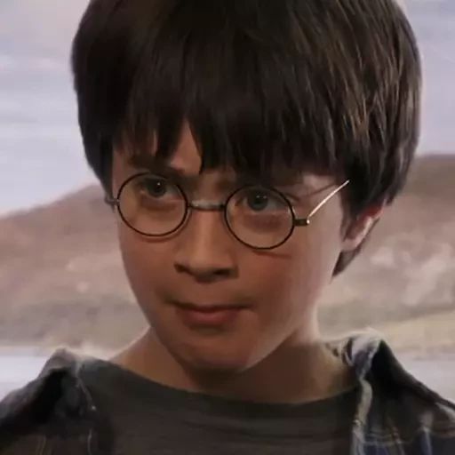 Sticker “Garry Potter-7”