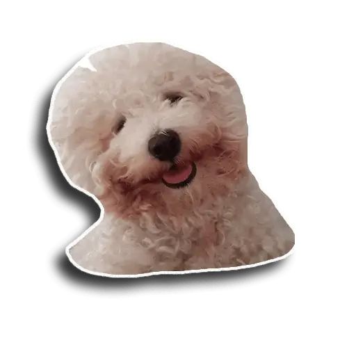 Sticker “Caesar-11”