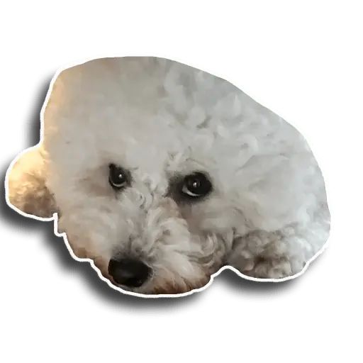 Sticker “Caesar-5”