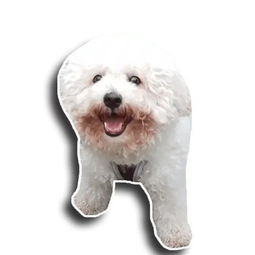 Sticker “Caesar-8”