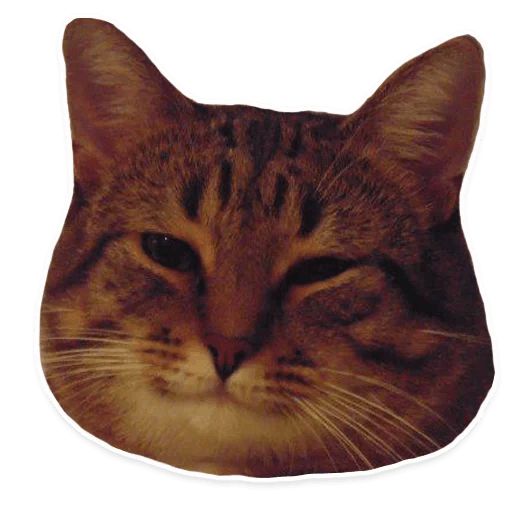 Sticker “Kitties-6”