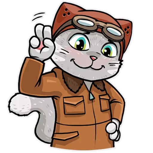 Sticker “Kamikaze Cat-5”