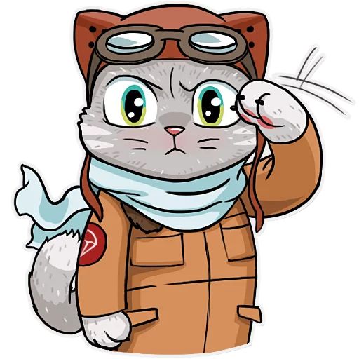 Sticker “Kamikaze Cat-6”
