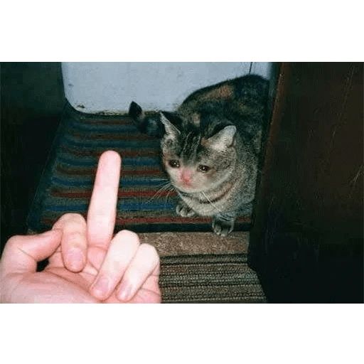 Sticker “Crying Cat-6”