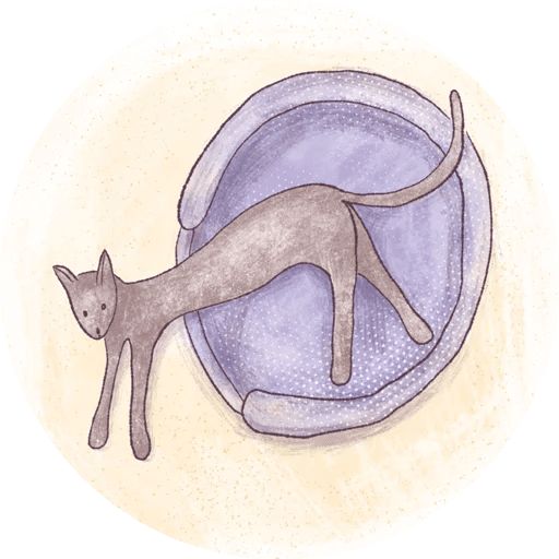 Sticker “Cats in Circle-11”