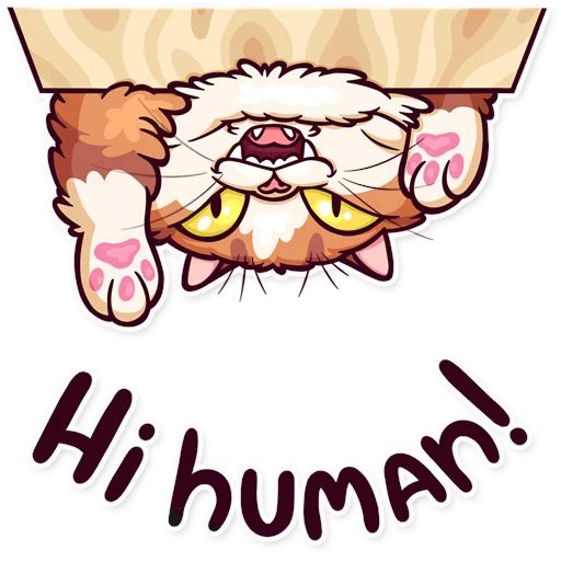 Sticker “Meme Cats-5”