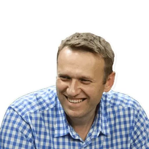 Sticker “Navalny-2”