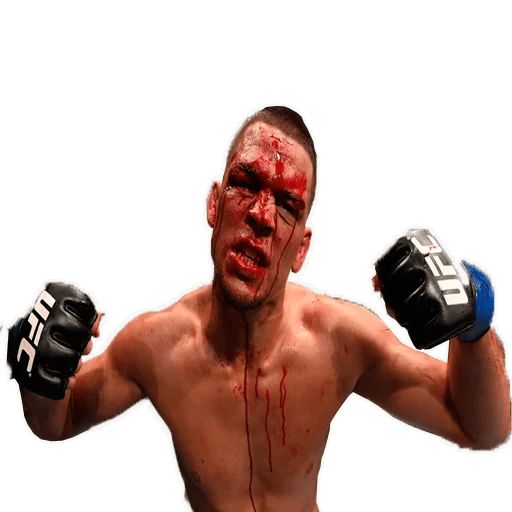 Sticker “UFC-5”