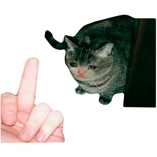 Sticker “Sad cats-10”