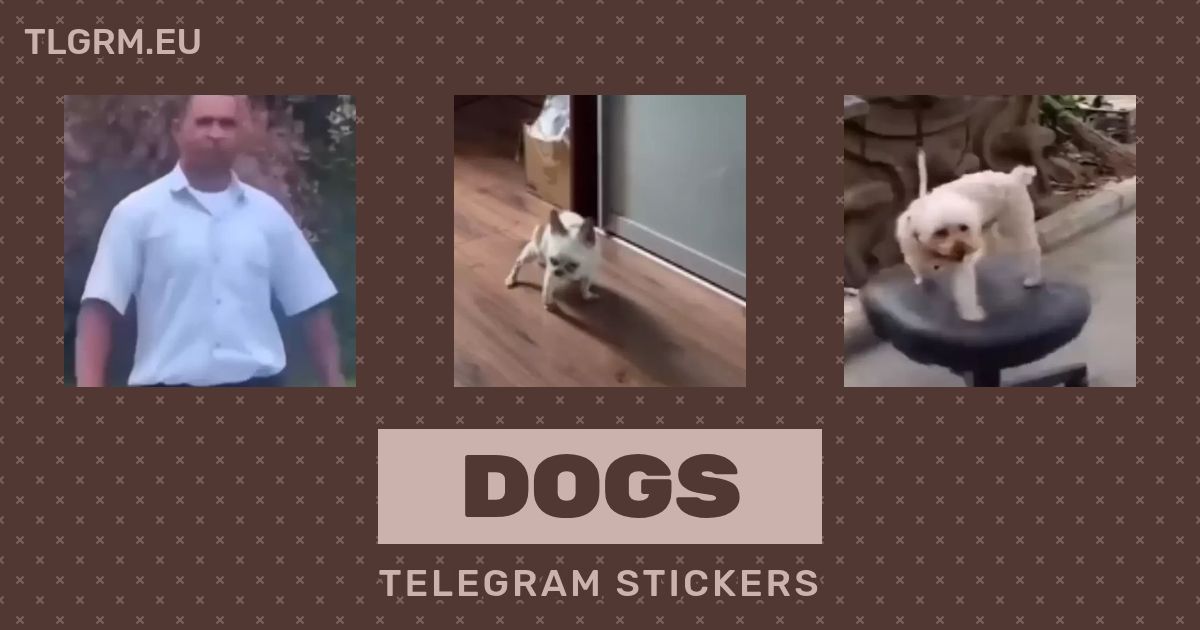 Dogs Animated Sticker Set For Telegram dogs-animated-sticker-set-for-telegram