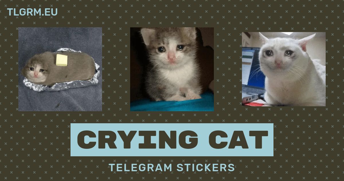 Telegram sticker pack of sad cats I made (Links in comments) : r