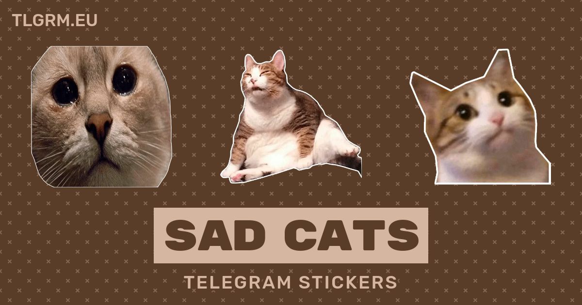 Telegram sticker pack of sad cats I made (Links in comments) : r/sadcats